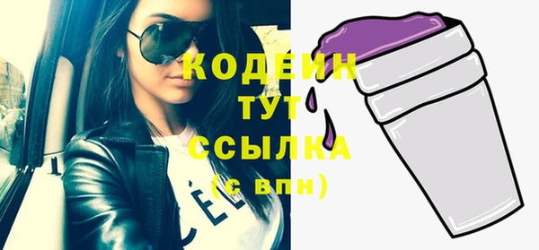 гашик Инта