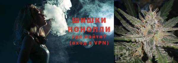 гашик Инта