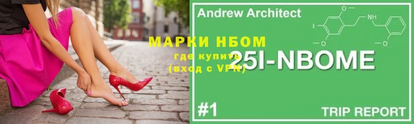 гашик Инта