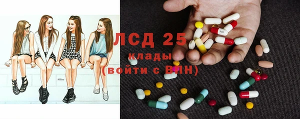 гашик Инта