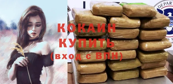 гашик Инта