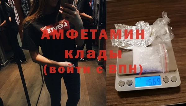 гашик Инта