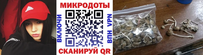 Галлюциногенные грибы мицелий  Железноводск 