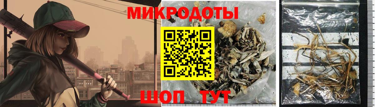 Галлюциногенные грибы Magic Shrooms  Вход с VPN  где найти   Железноводск 